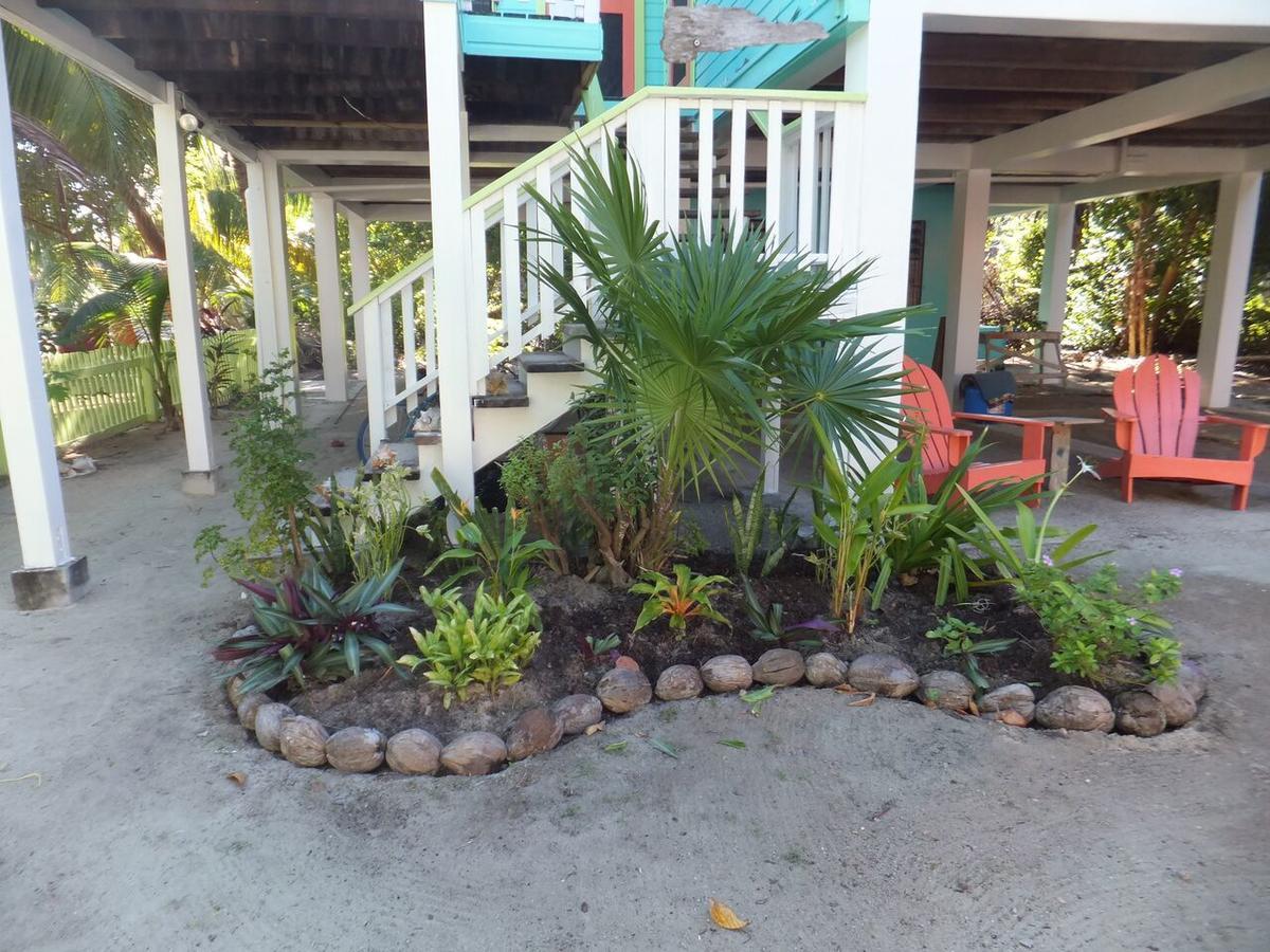 Willa The Bottle Tree House Caye Caulker Zewnętrze zdjęcie