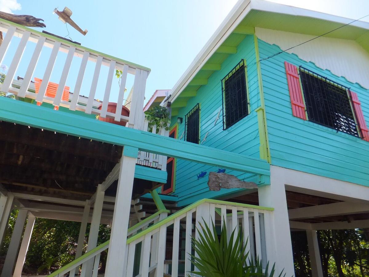 Willa The Bottle Tree House Caye Caulker Zewnętrze zdjęcie